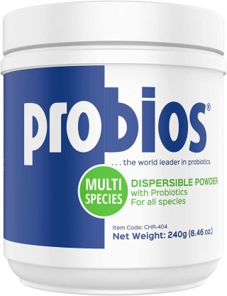 Probios Probiocin  Dispersible Powder, 240 gm  Пробиос порошок с пробиотиками для собак и кошек (240 мг.) (США)