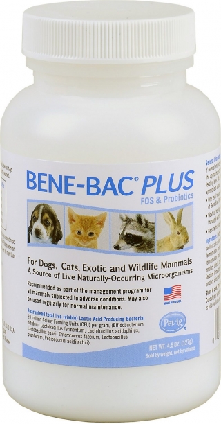 Bene Bac Plus Powder (Бене Бак) пробиотик порошок для домаш.животных 454 гр PetAg (США)